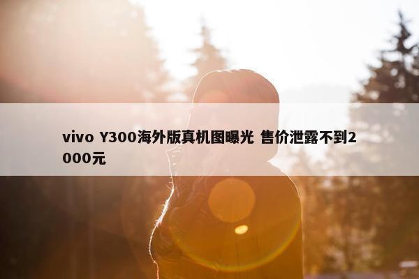 vivo Y300海外版真机图曝光 售价泄露不到2000元