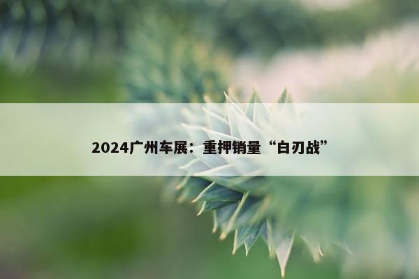 2024广州车展：重押销量“白刃战”