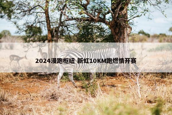 2024漫跑枢纽 新虹10KM跑燃情开赛