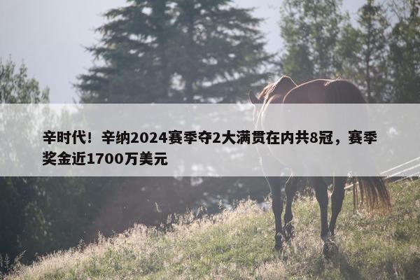 辛时代！辛纳2024赛季夺2大满贯在内共8冠，赛季奖金近1700万美元