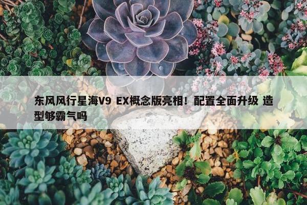 东风风行星海V9 EX概念版亮相！配置全面升级 造型够霸气吗