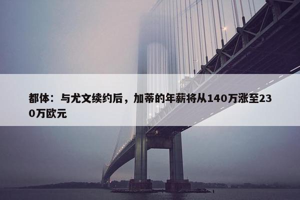 都体：与尤文续约后，加蒂的年薪将从140万涨至230万欧元