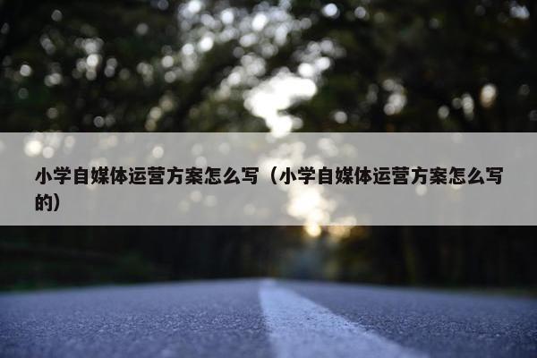 小学自媒体运营方案怎么写（小学自媒体运营方案怎么写的）