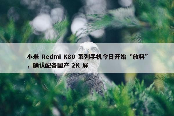 小米 Redmi K80 系列手机今日开始“放料”，确认配备国产 2K 屏