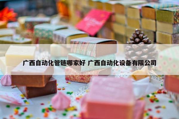 广西自动化管链哪家好 广西自动化设备有限公司