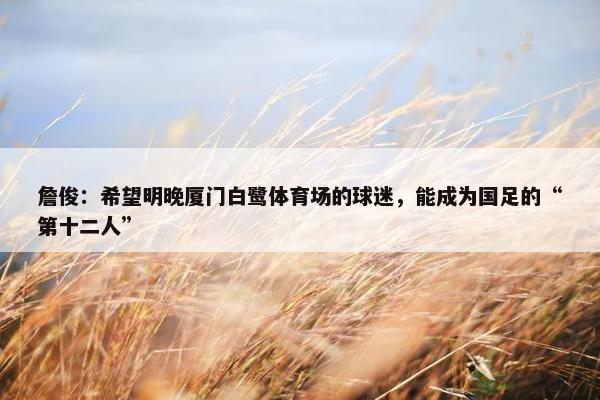 詹俊：希望明晚厦门白鹭体育场的球迷，能成为国足的“第十二人”