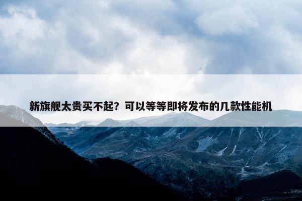 新旗舰太贵买不起？可以等等即将发布的几款性能机