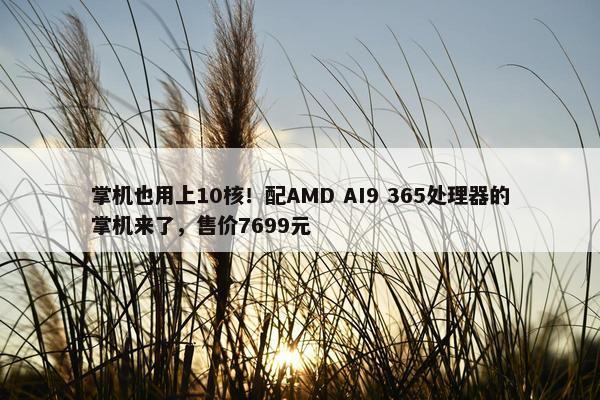 掌机也用上10核！配AMD AI9 365处理器的掌机来了，售价7699元