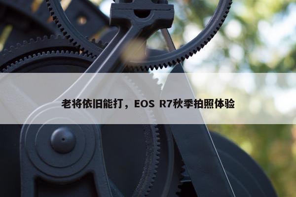 老将依旧能打，EOS R7秋季拍照体验