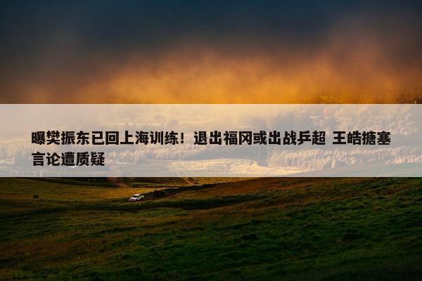 曝樊振东已回上海训练！退出福冈或出战乒超 王皓搪塞言论遭质疑