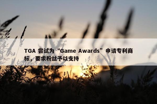 TGA 尝试为“Game Awards”申请专利商标，要求粉丝予以支持