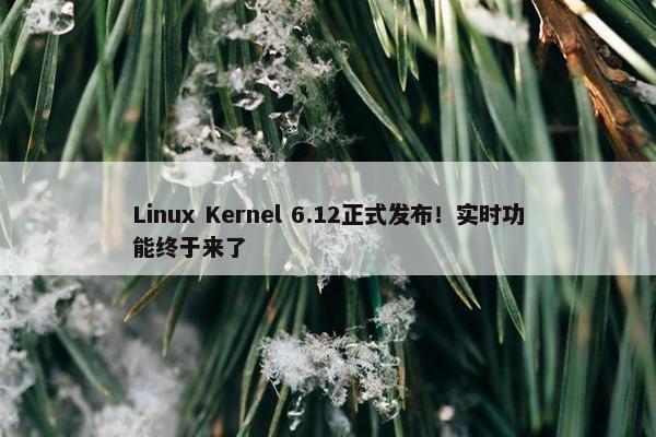 Linux Kernel 6.12正式发布！实时功能终于来了