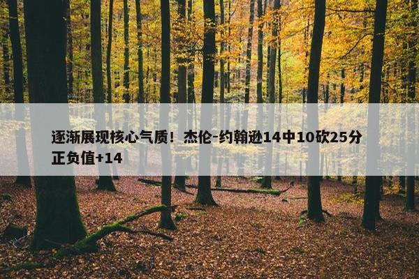 逐渐展现核心气质！杰伦-约翰逊14中10砍25分 正负值+14