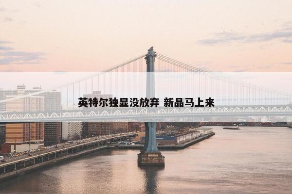 英特尔独显没放弃 新品马上来