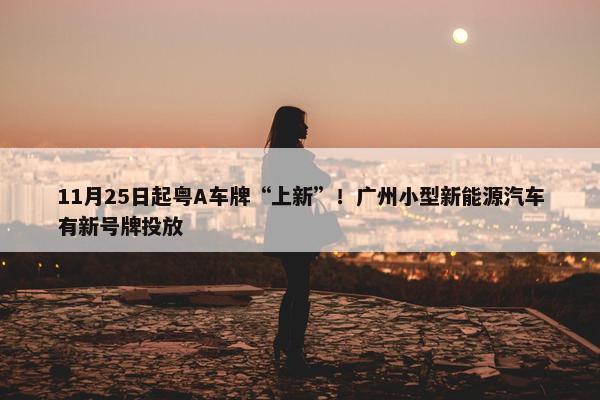 11月25日起粤A车牌“上新”！广州小型新能源汽车有新号牌投放