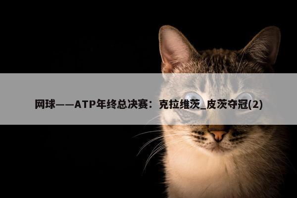 网球——ATP年终总决赛：克拉维茨_皮茨夺冠(2)