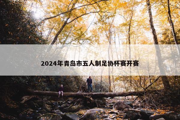 2024年青岛市五人制足协杯赛开赛