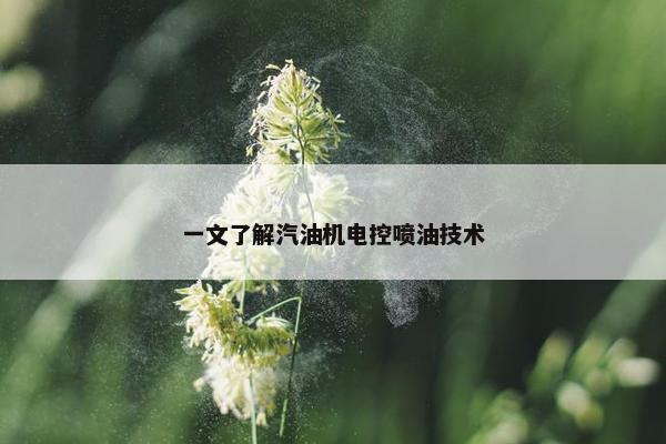 一文了解汽油机电控喷油技术