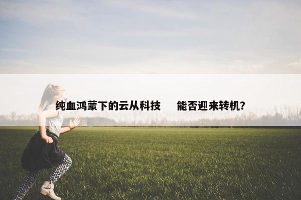 纯血鸿蒙下的云从科技    能否迎来转机？