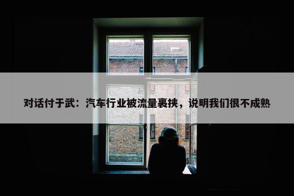 对话付于武：汽车行业被流量裹挟，说明我们很不成熟