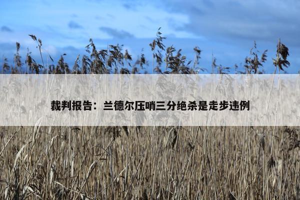 裁判报告：兰德尔压哨三分绝杀是走步违例