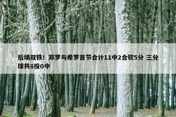 后场双铁！邓罗与希罗首节合计11中2合砍5分 三分球共8投0中