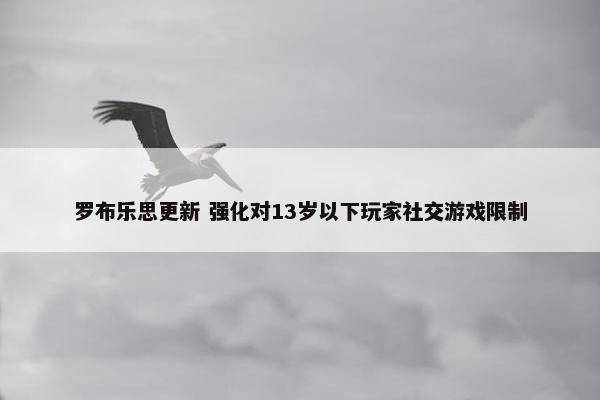 罗布乐思更新 强化对13岁以下玩家社交游戏限制