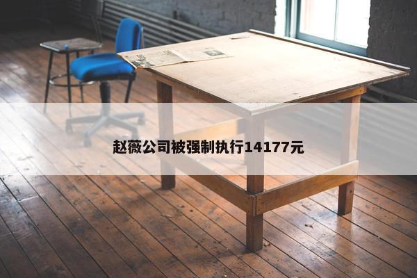 赵薇公司被强制执行14177元