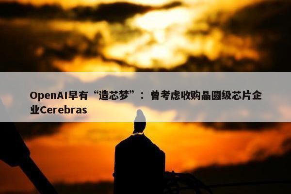 OpenAI早有“造芯梦”：曾考虑收购晶圆级芯片企业Cerebras