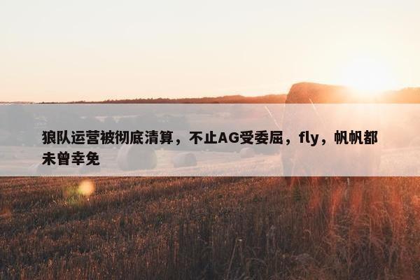 狼队运营被彻底清算，不止AG受委屈，fly，帆帆都未曾幸免