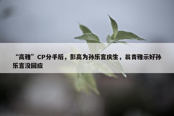 “高雅”CP分手后，彭高为孙乐言庆生，翁青雅示好孙乐言没回应