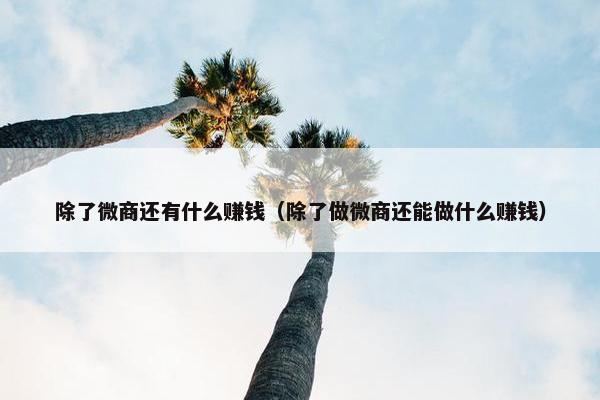 除了微商还有什么赚钱（除了做微商还能做什么赚钱）