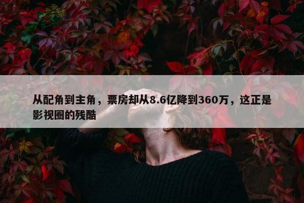 从配角到主角，票房却从8.6亿降到360万，这正是影视圈的残酷