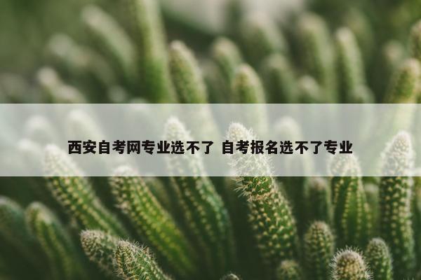 西安自考网专业选不了 自考报名选不了专业