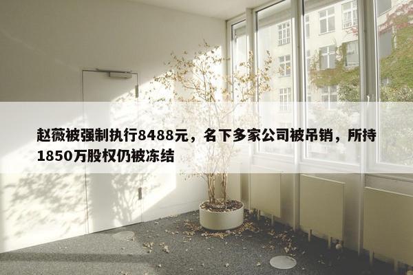 赵薇被强制执行8488元，名下多家公司被吊销，所持1850万股权仍被冻结