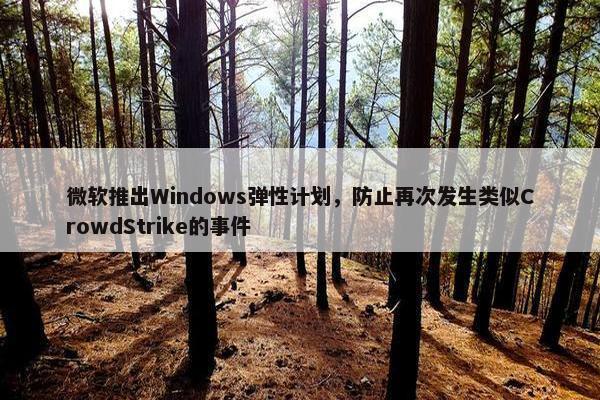 微软推出Windows弹性计划，防止再次发生类似CrowdStrike的事件