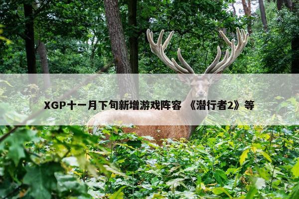 XGP十一月下旬新增游戏阵容 《潜行者2》等