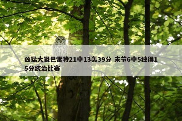 凶猛大狙巴雷特21中13轰39分 末节6中5独得15分统治比赛