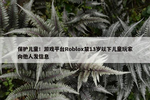 保护儿童！游戏平台Roblox禁13岁以下儿童玩家向他人发信息