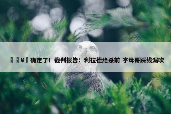 🥶确定了！裁判报告：利拉德绝杀前 字母哥踩线漏吹