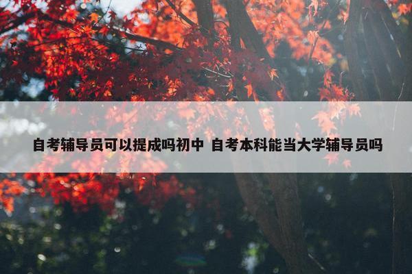 自考辅导员可以提成吗初中 自考本科能当大学辅导员吗