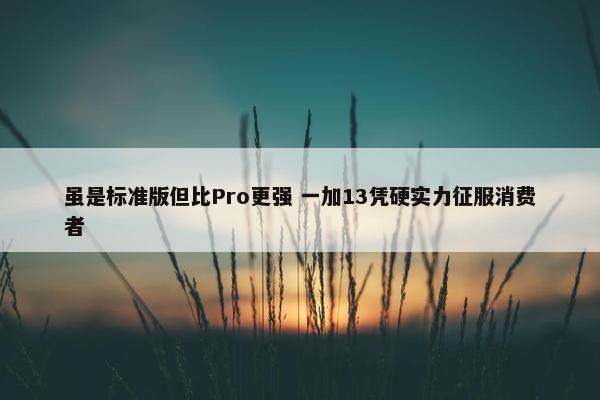 虽是标准版但比Pro更强 一加13凭硬实力征服消费者