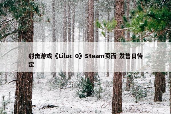 射击游戏《Lilac 0》Steam页面 发售日待定