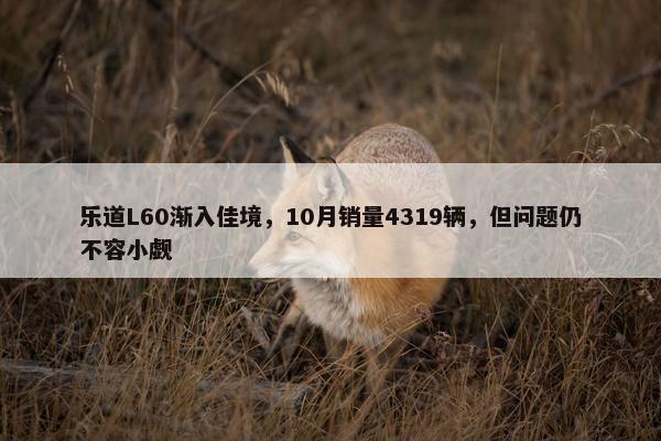 乐道L60渐入佳境，10月销量4319辆，但问题仍不容小觑