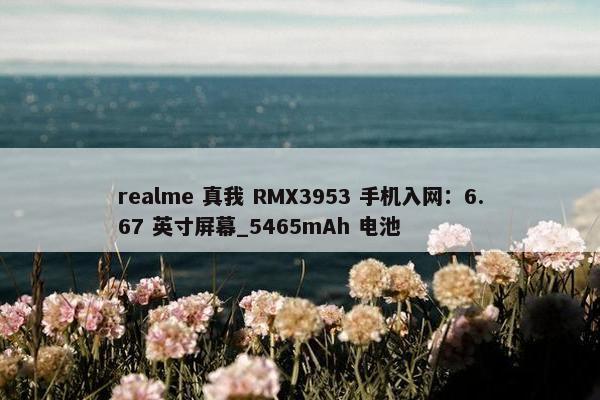 realme 真我 RMX3953 手机入网：6.67 英寸屏幕_5465mAh 电池