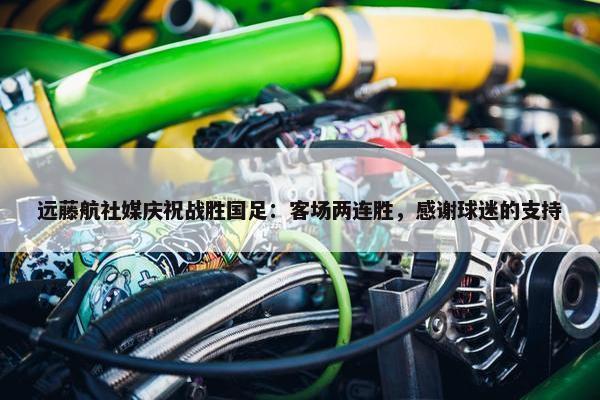 远藤航社媒庆祝战胜国足：客场两连胜，感谢球迷的支持