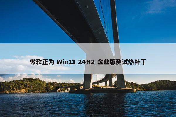 微软正为 Win11 24H2 企业版测试热补丁