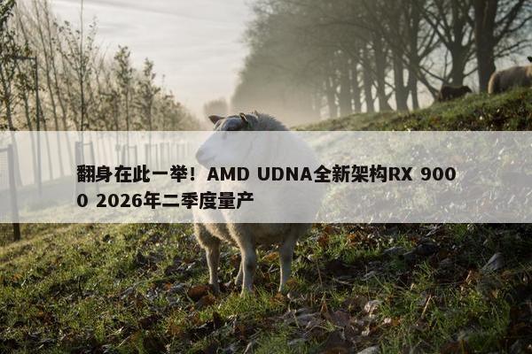 翻身在此一举！AMD UDNA全新架构RX 9000 2026年二季度量产