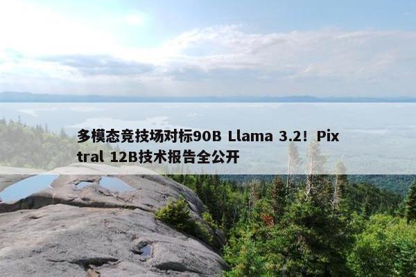 多模态竞技场对标90B Llama 3.2！Pixtral 12B技术报告全公开