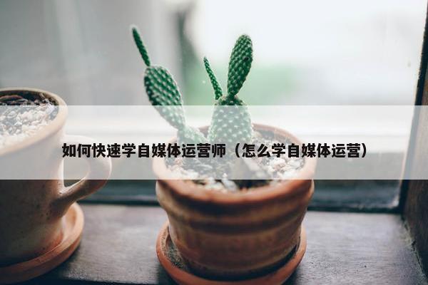 如何快速学自媒体运营师（怎么学自媒体运营）